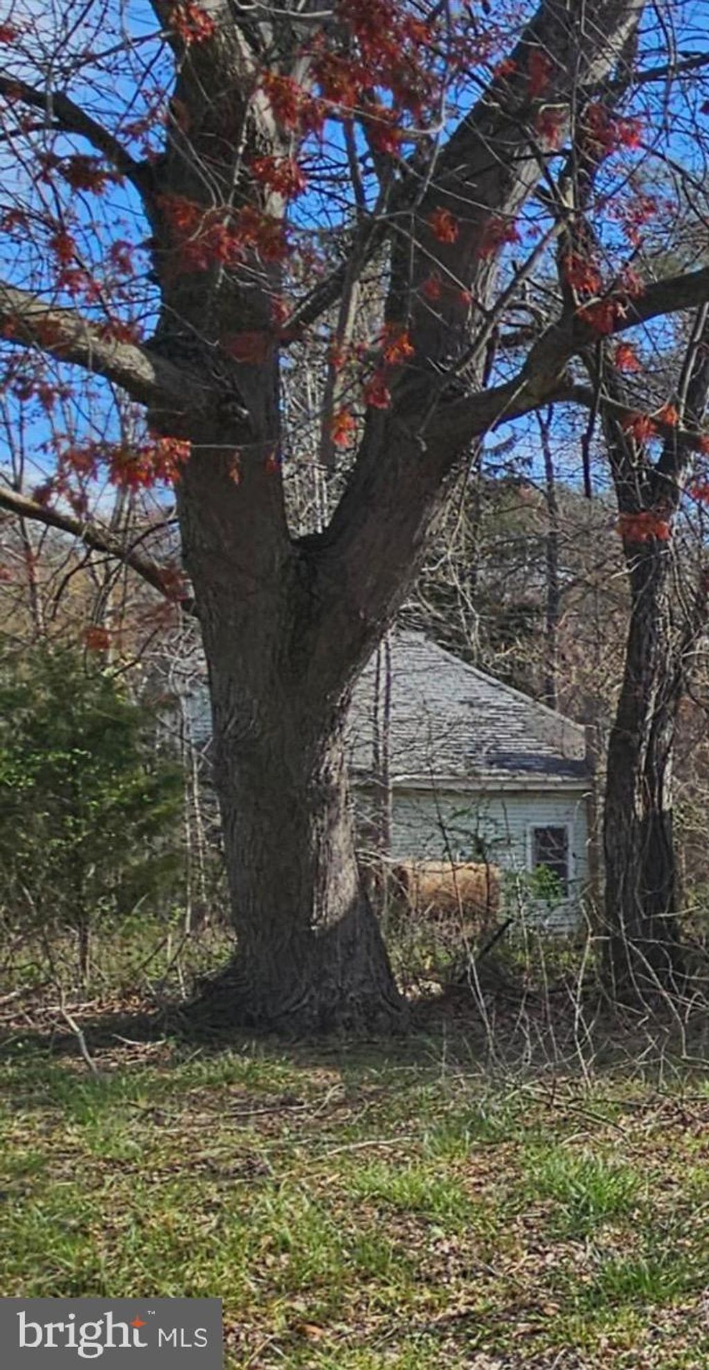 Photo of 9335 S Dupont Highway, FELTON, DE 19943 (MLS # DEKT2036346)