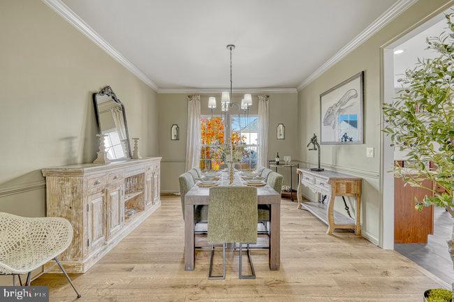 NEW TOWN MEADOWS - Residential