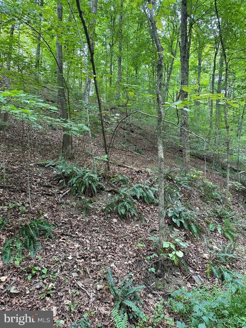 Vacant Land For Sale - 5.65 ACRES Off Reynoldsdale Road<br/> Bedford County, NEW PARIS, PA 15554
