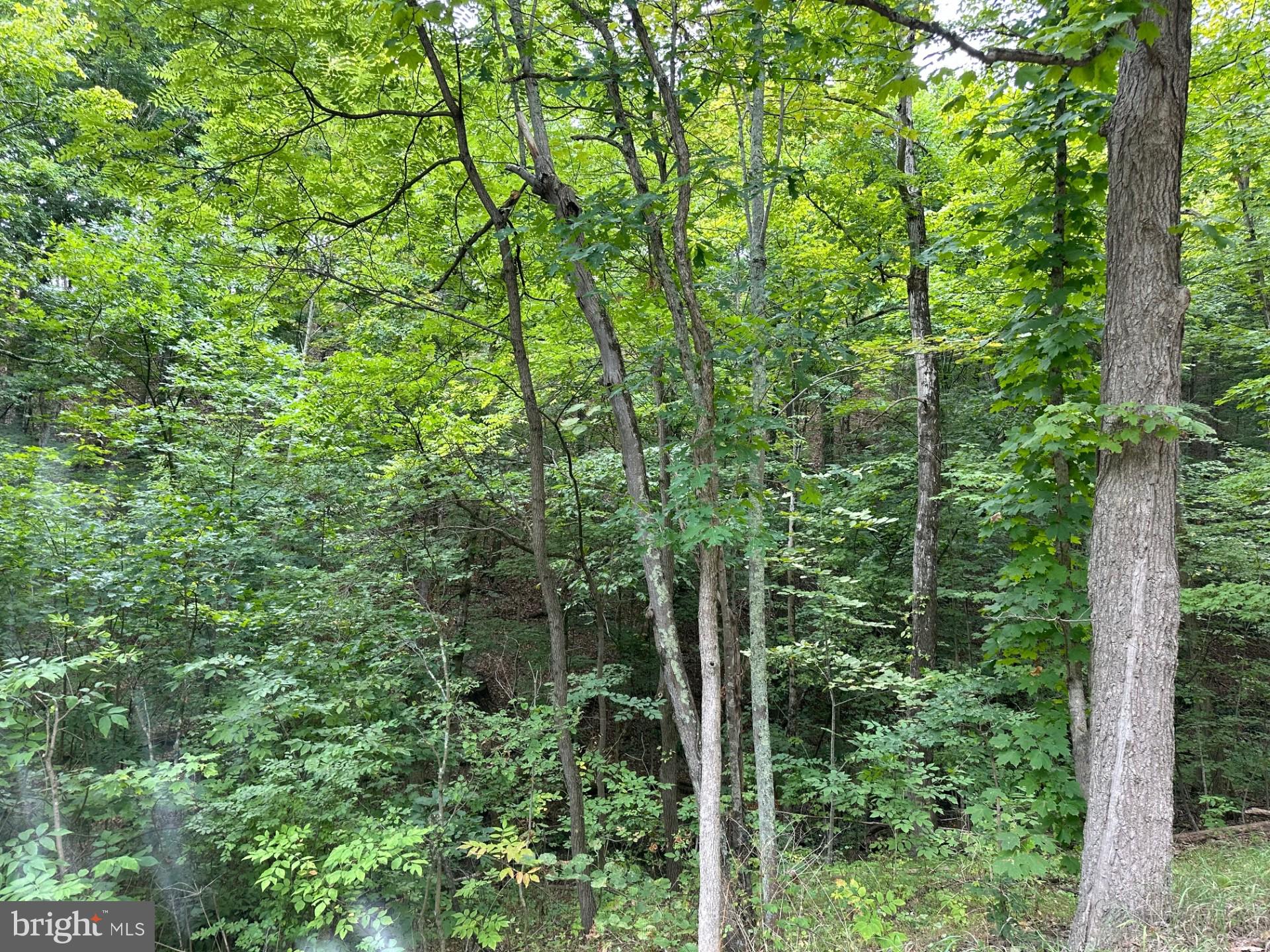 Off REYNOLDSDALE ROAD