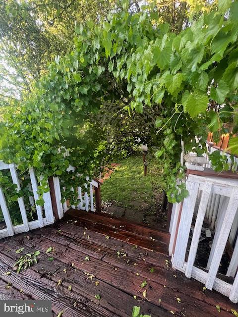 CARNABY SQUARE - Residential Lease