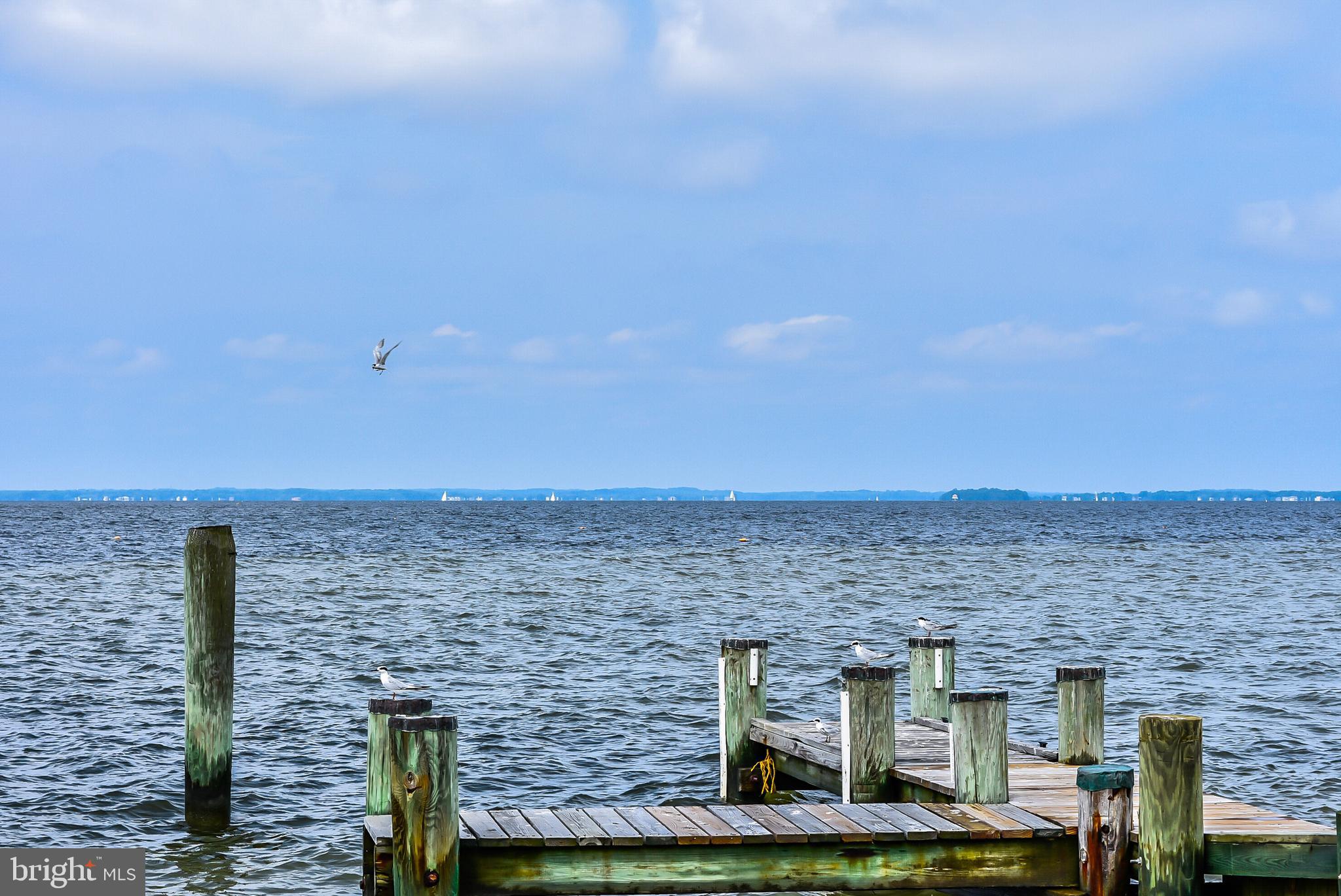 TOWER GARDENS - Residential