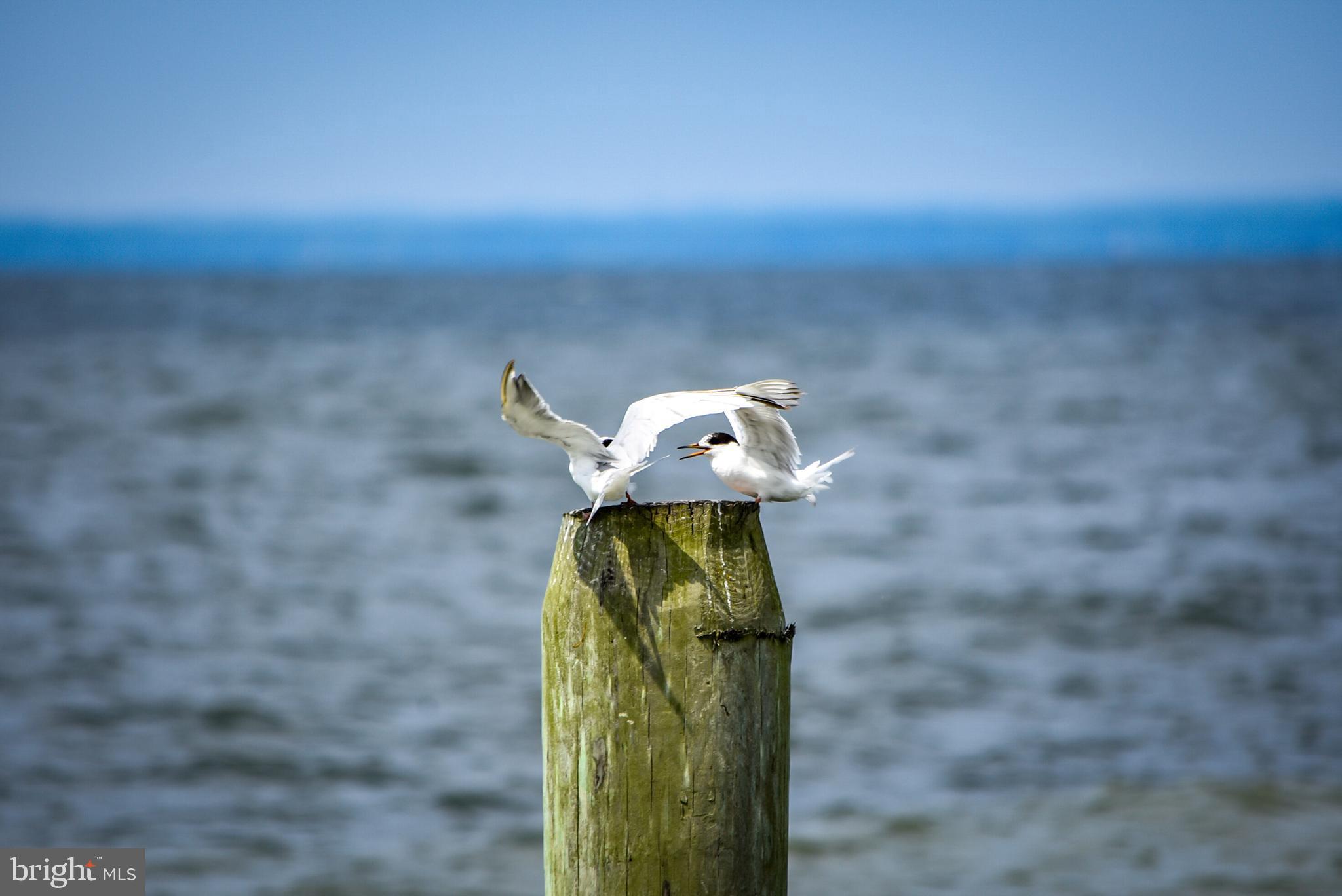 TOWER GARDENS - Residential