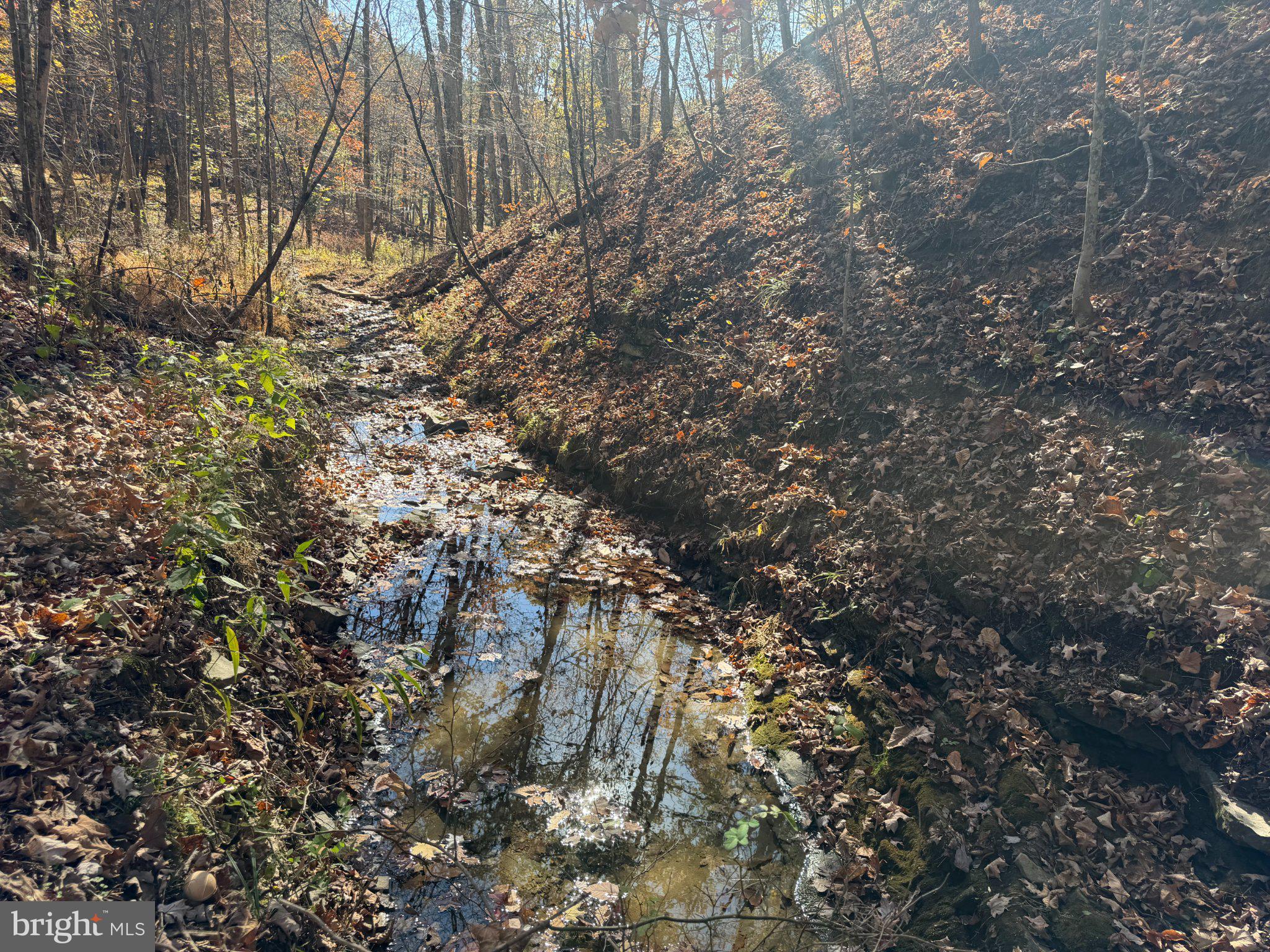 81 BLUFFS ON THE POTOMAC