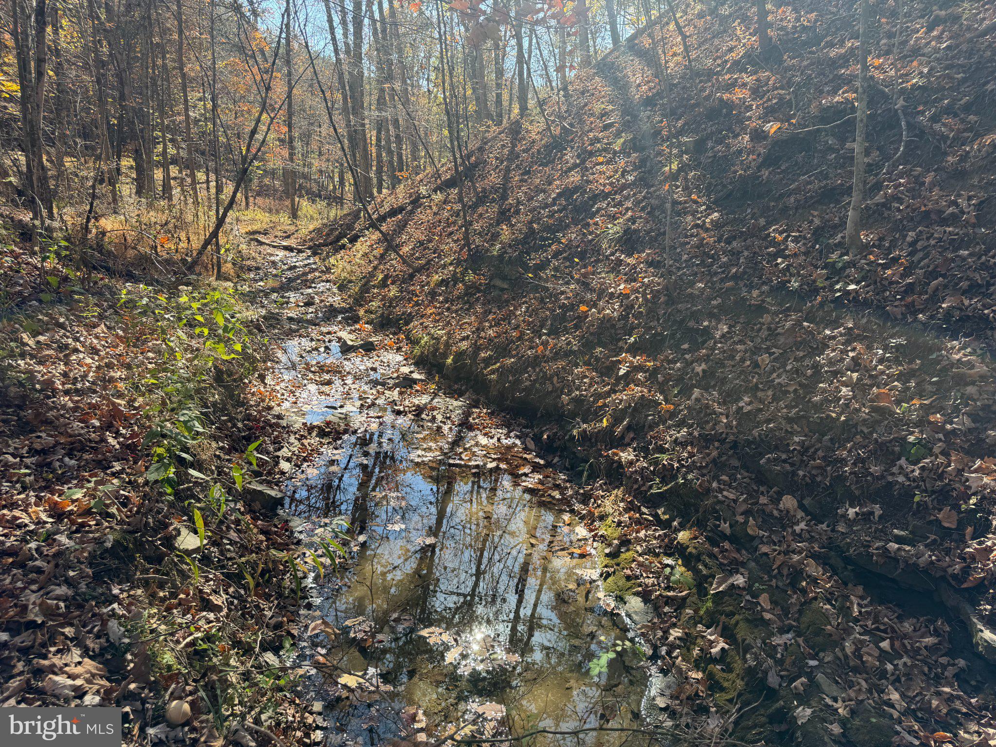 81 BLUFFS ON THE POTOMAC