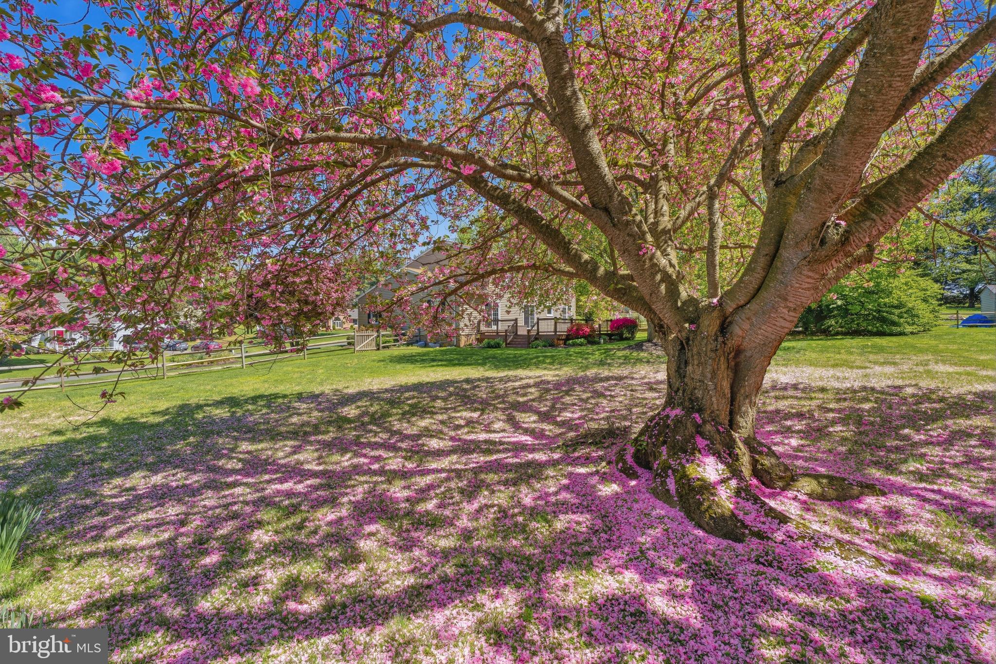 FOX MEADOWS - Residential