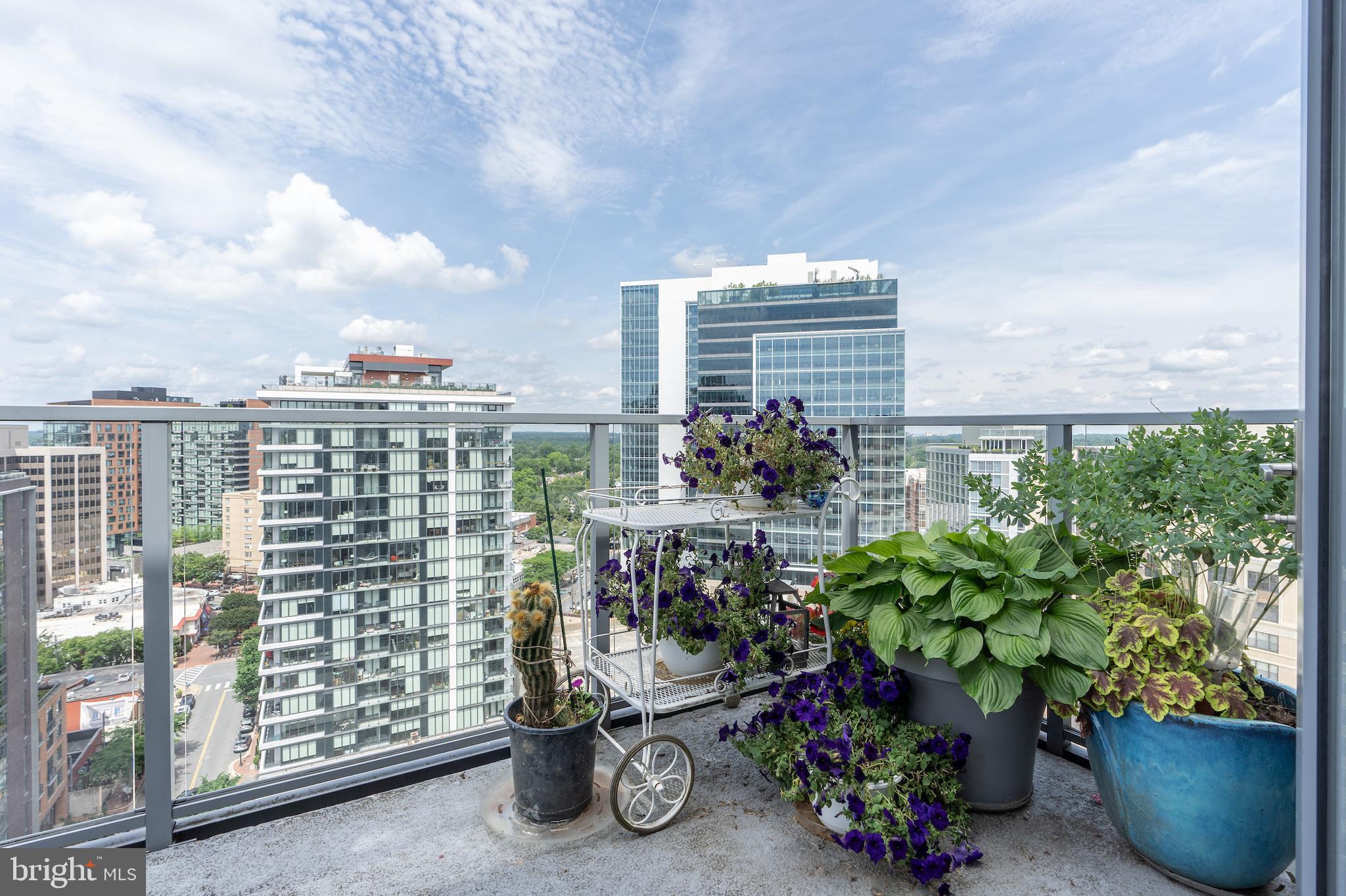 CHEVAL - Residential