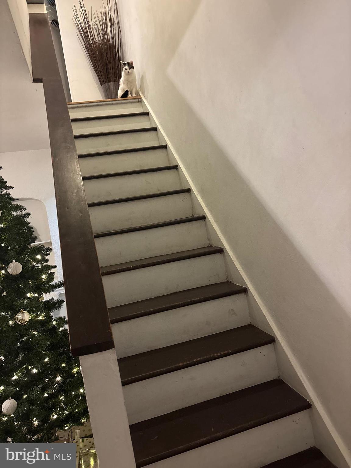 HOLMESBURG - Residential