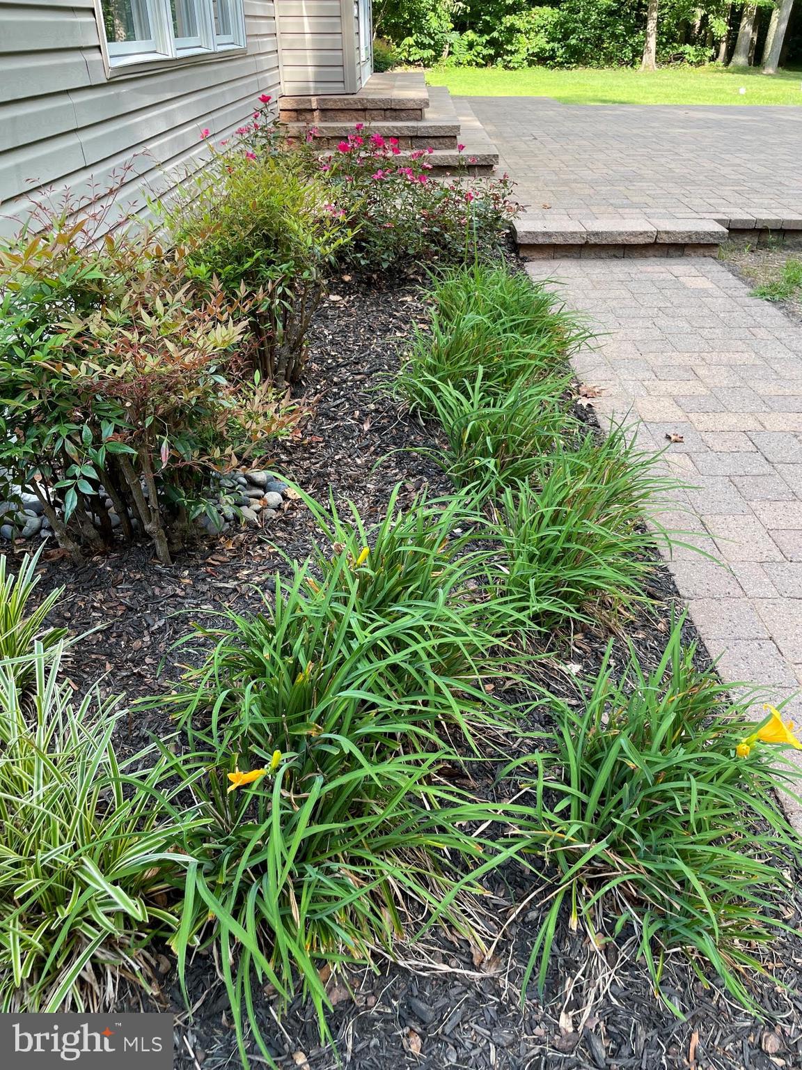 REGULARS - Residential