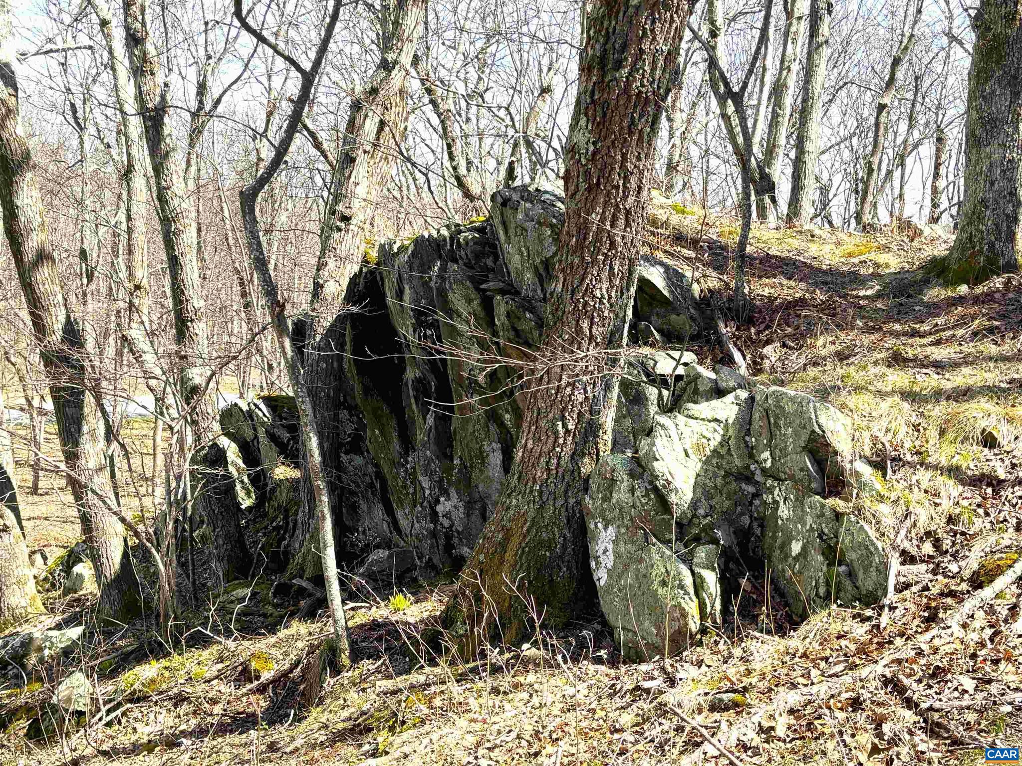 WINTERGREEN RESORT - Land