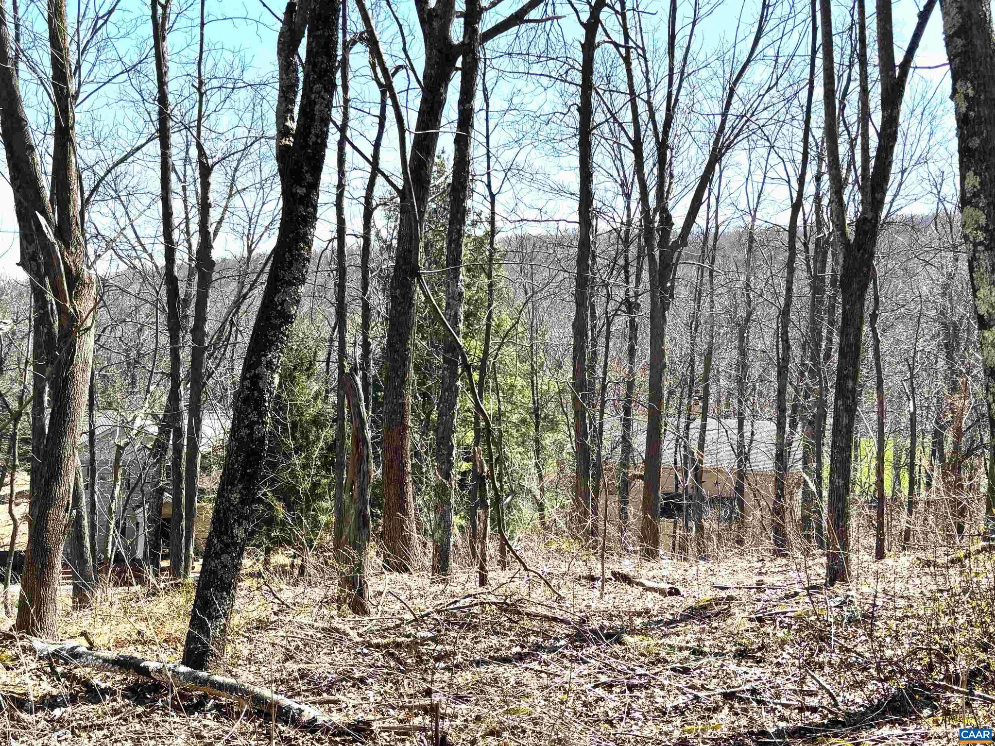 WINTERGREEN RESORT - Land