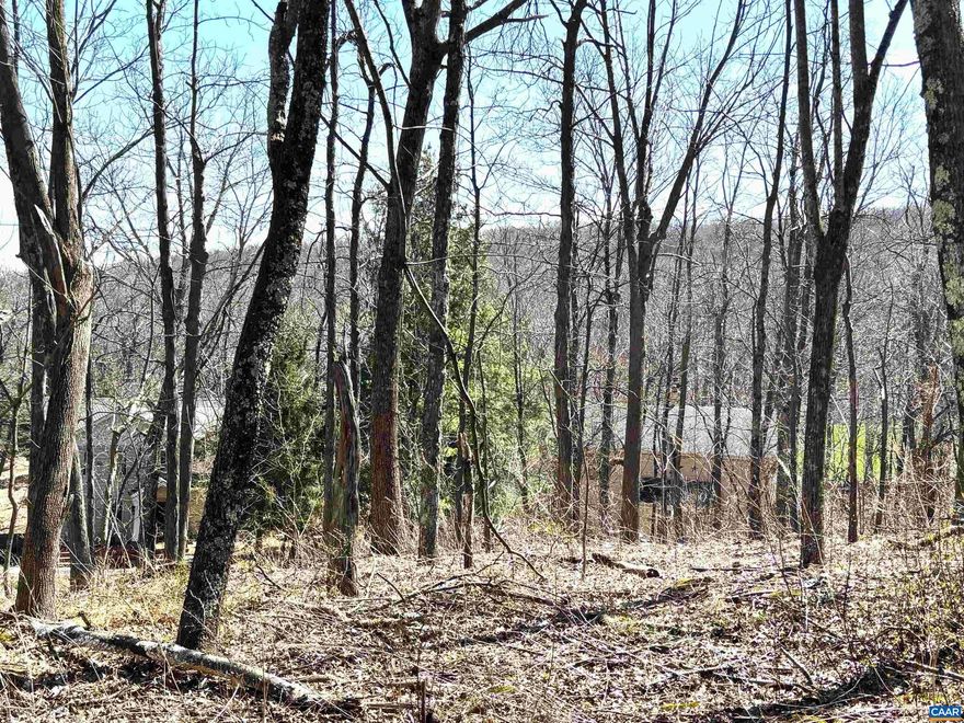 Very nice building site in a great location. Pause on the elevated knoll and experience the partial seasonal pocket views of the Ridge lines, Shenandoah Valley and the Golf Course. Common area and elevation provide privacy and the WPOA buffer leads to the Park Service Land and the Appalachian Trail. Common area buffer across the street can provide access to Shamokin Springs and to the 7th fairway on the Devils Knob Golf Course.