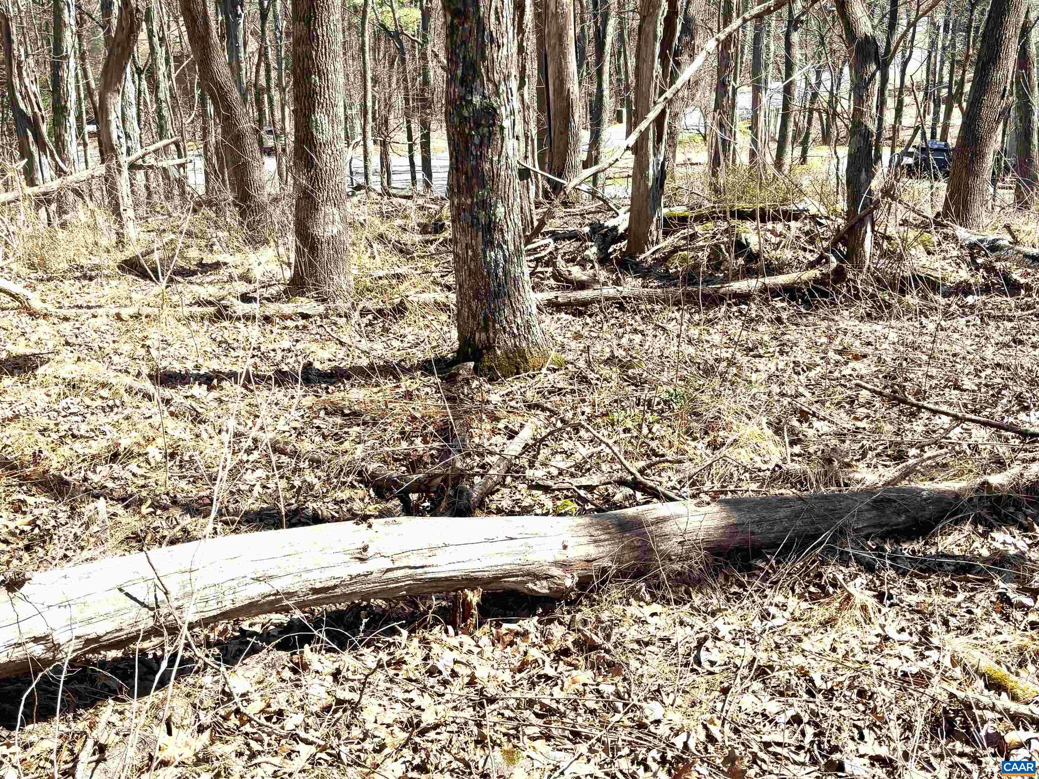 WINTERGREEN RESORT - Land