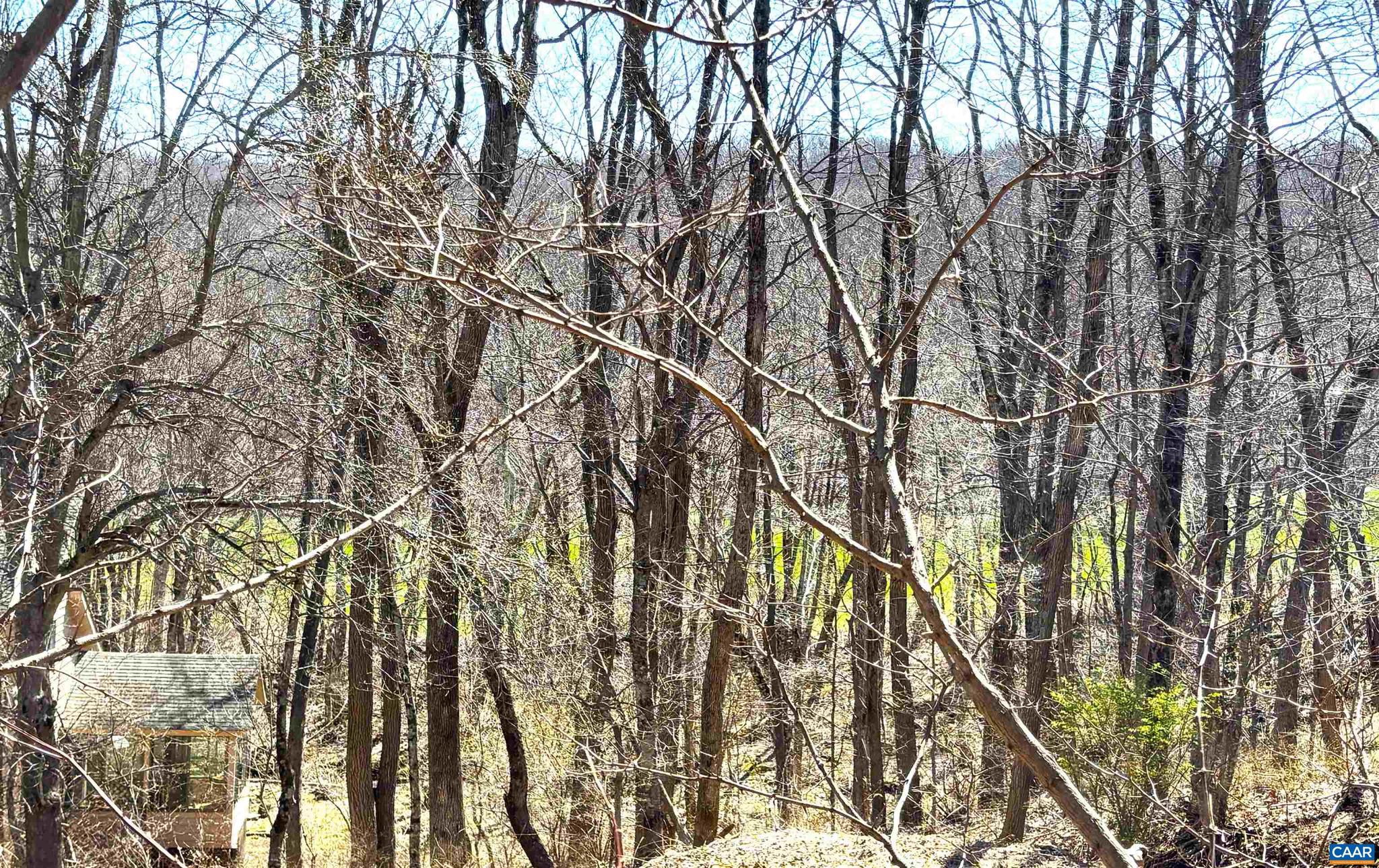 WINTERGREEN RESORT - Land