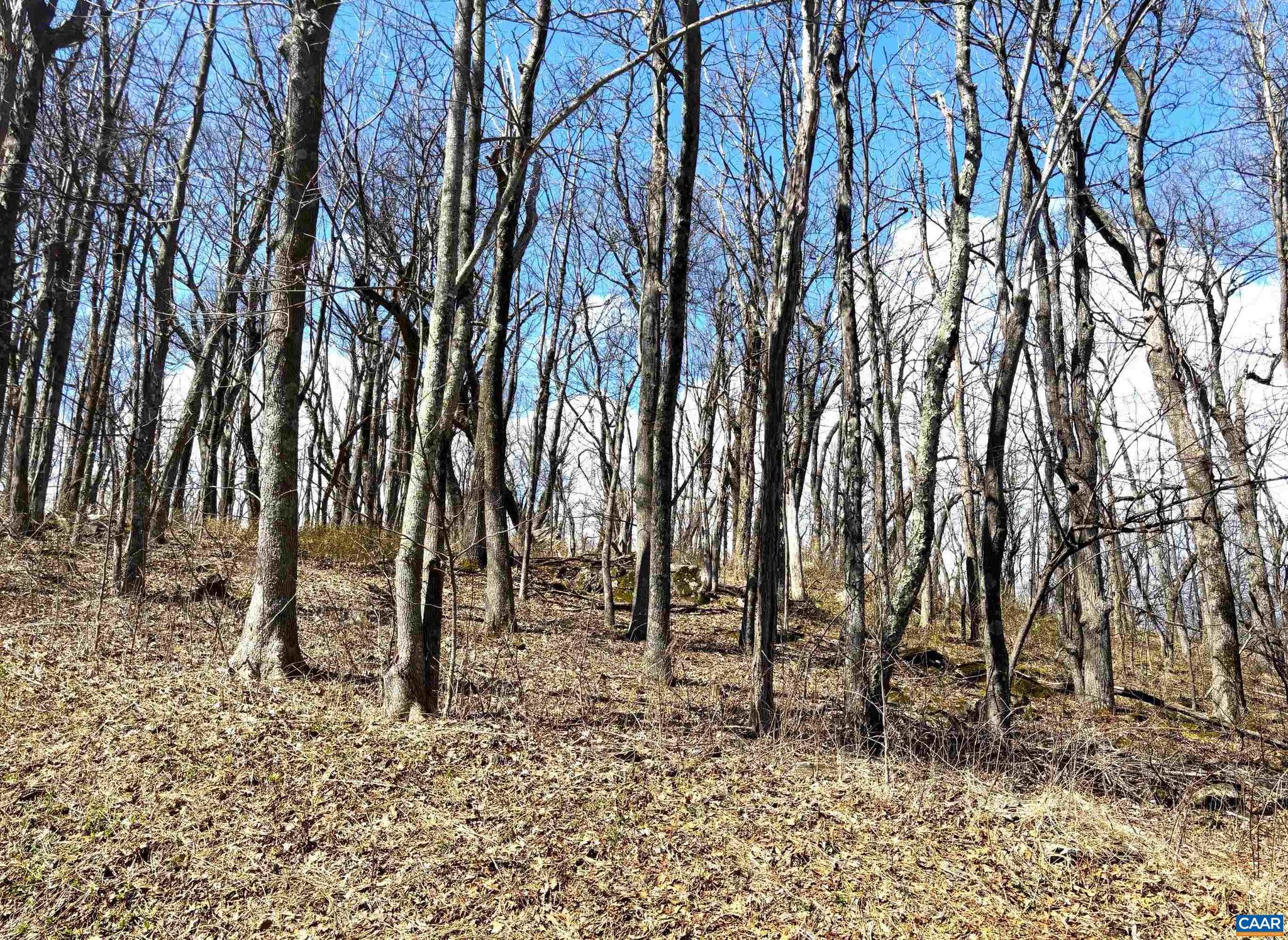 WINTERGREEN RESORT - Land