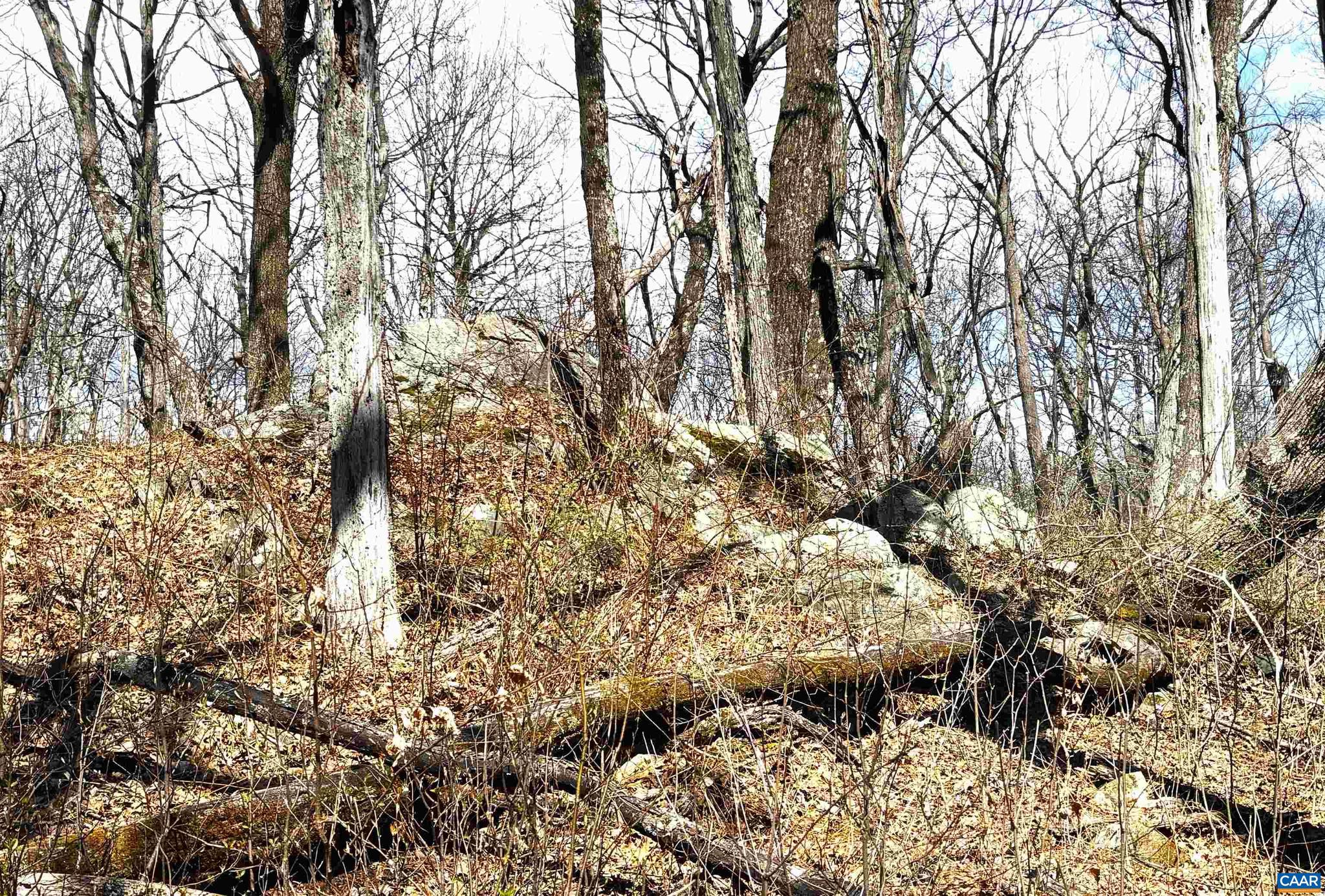 WINTERGREEN RESORT - Land