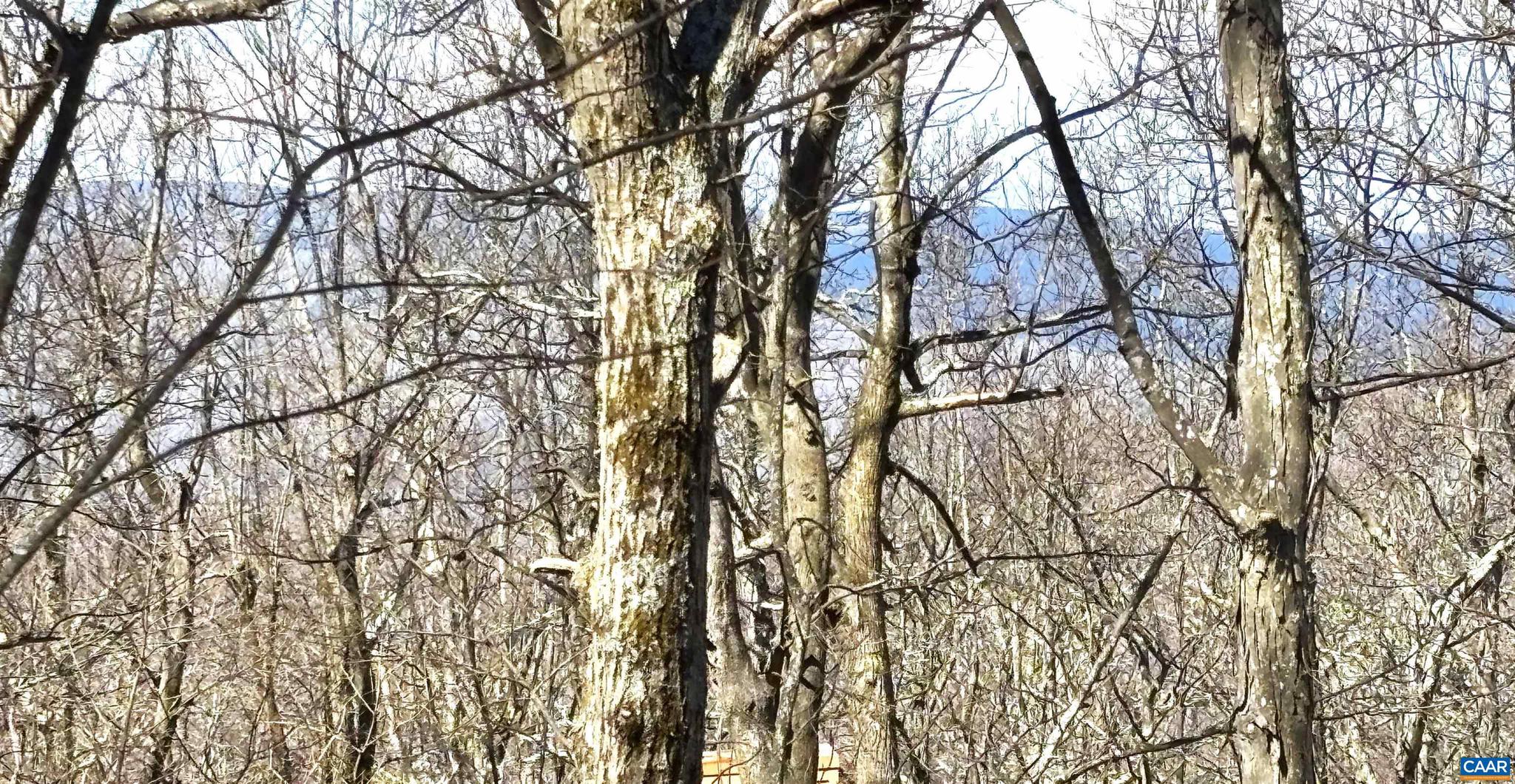 WINTERGREEN RESORT - Land