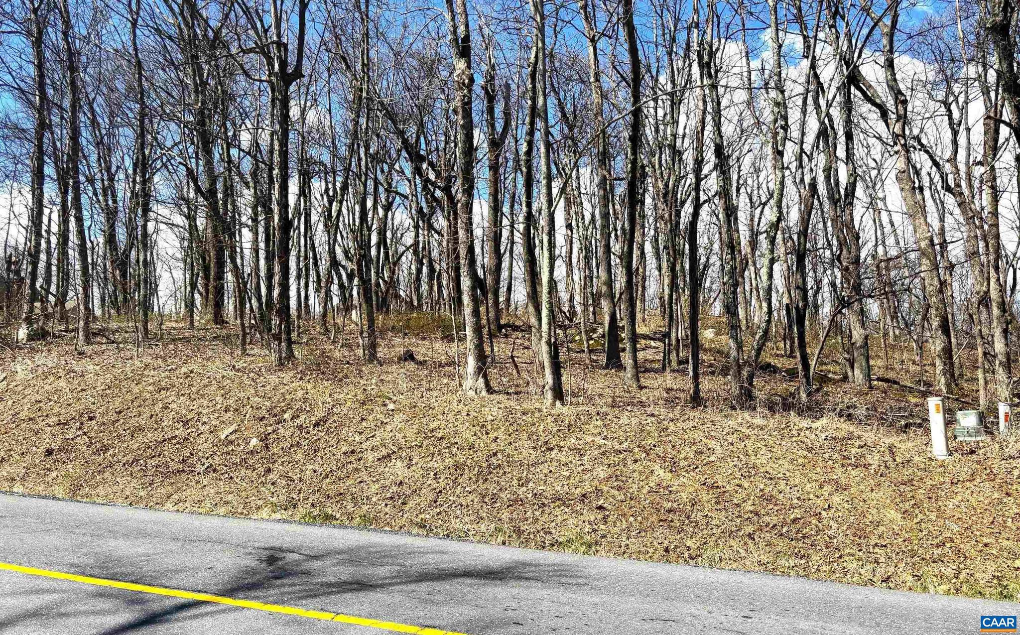 WINTERGREEN RESORT - Land