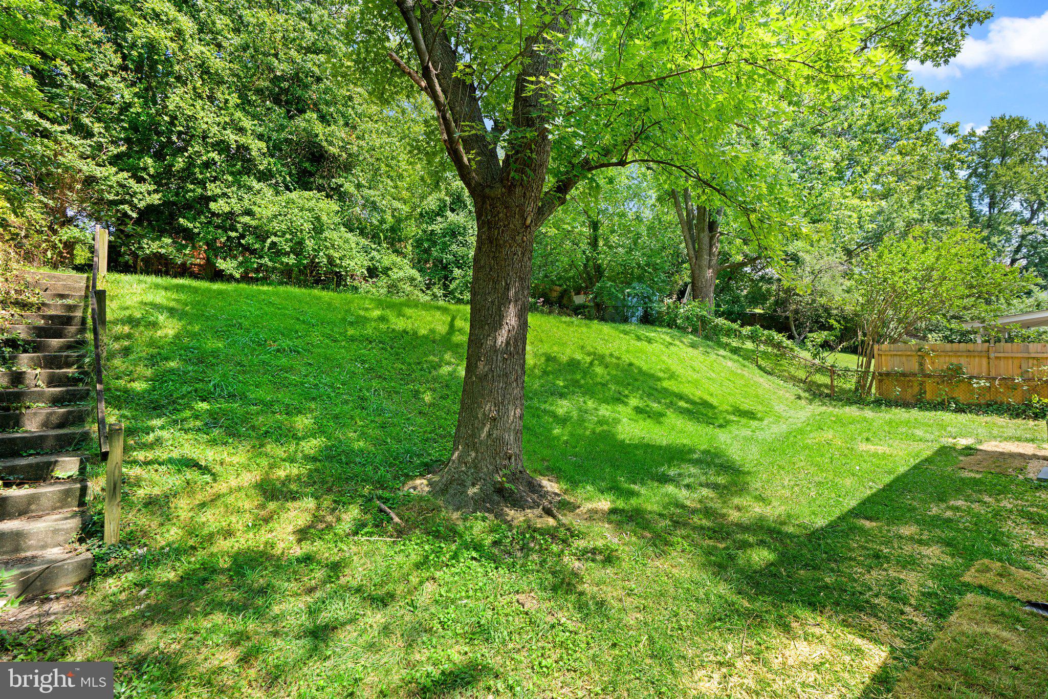 CAROLE HIGHLANDS - Residential