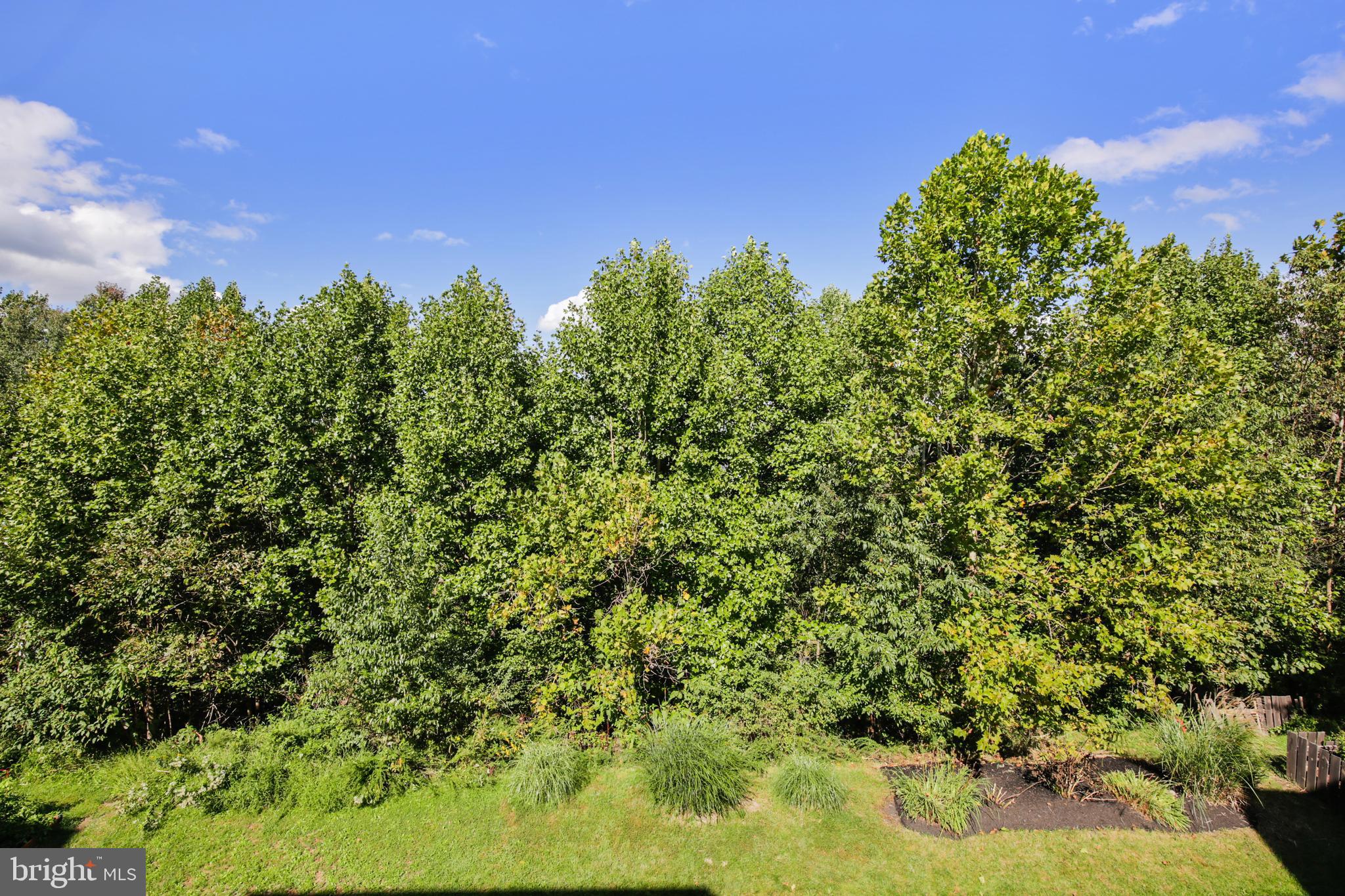 TWIN ARCH CROSSING - Residential