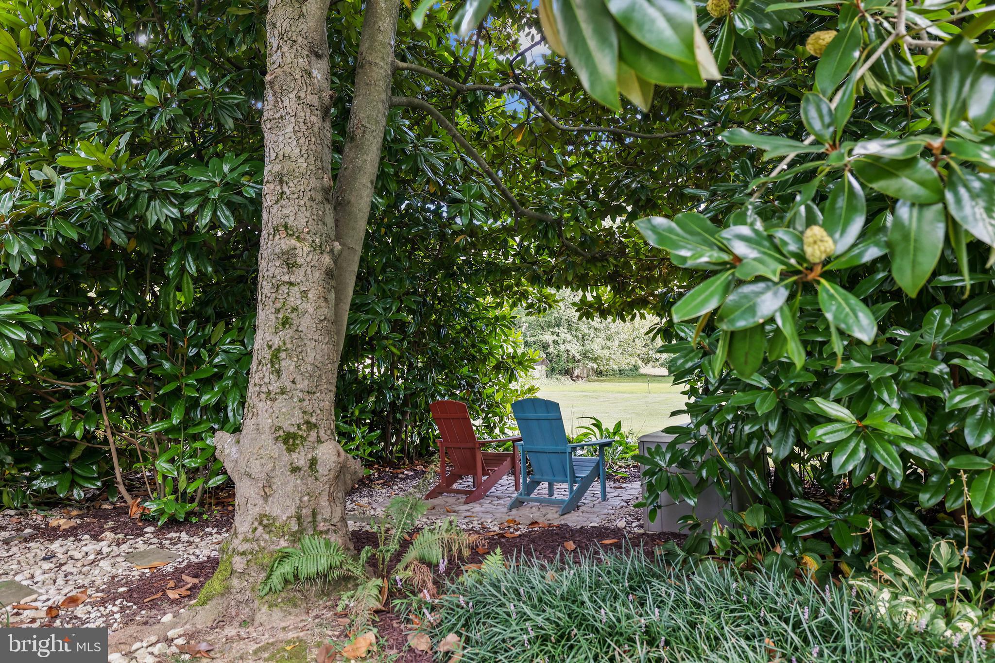 NEAR FALLS CHURCH - Residential