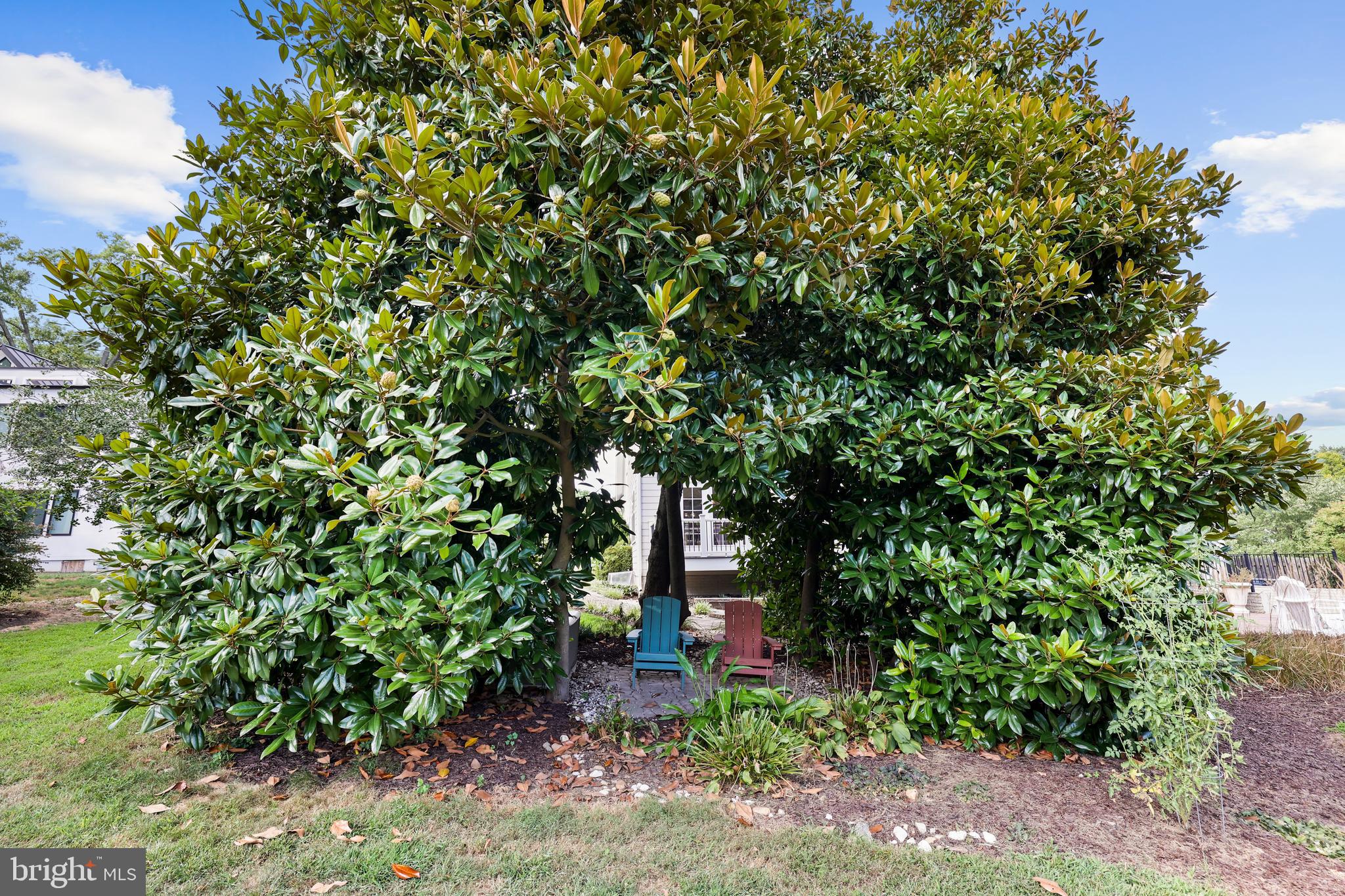 NEAR FALLS CHURCH - Residential