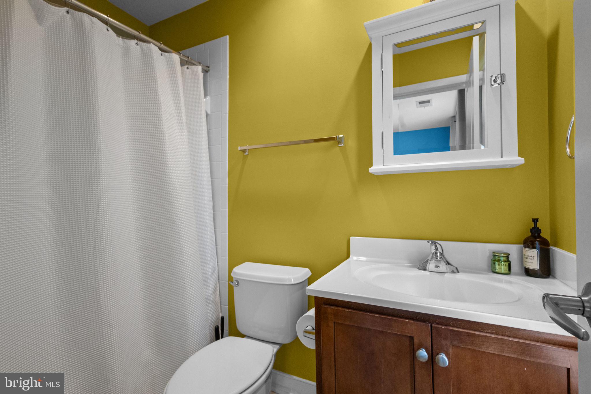 ARTS DISTRICT HYATTSVILLE - Residential
