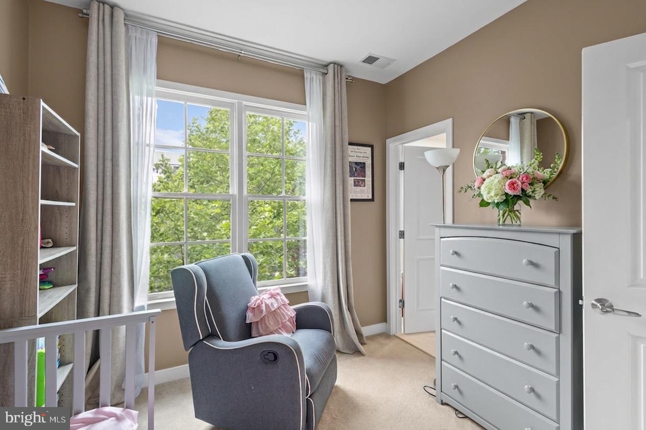 ARTS DISTRICT HYATTSVILLE - Residential