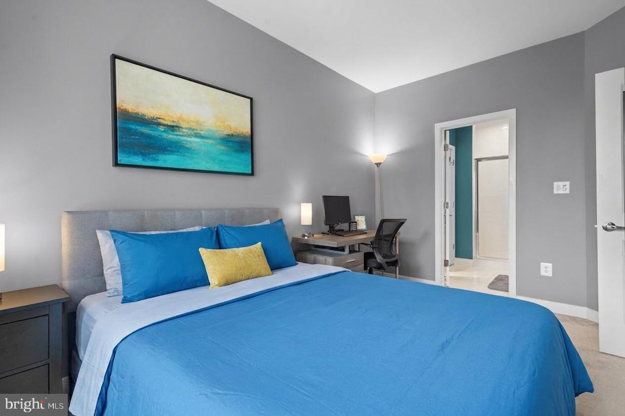ARTS DISTRICT HYATTSVILLE - Residential