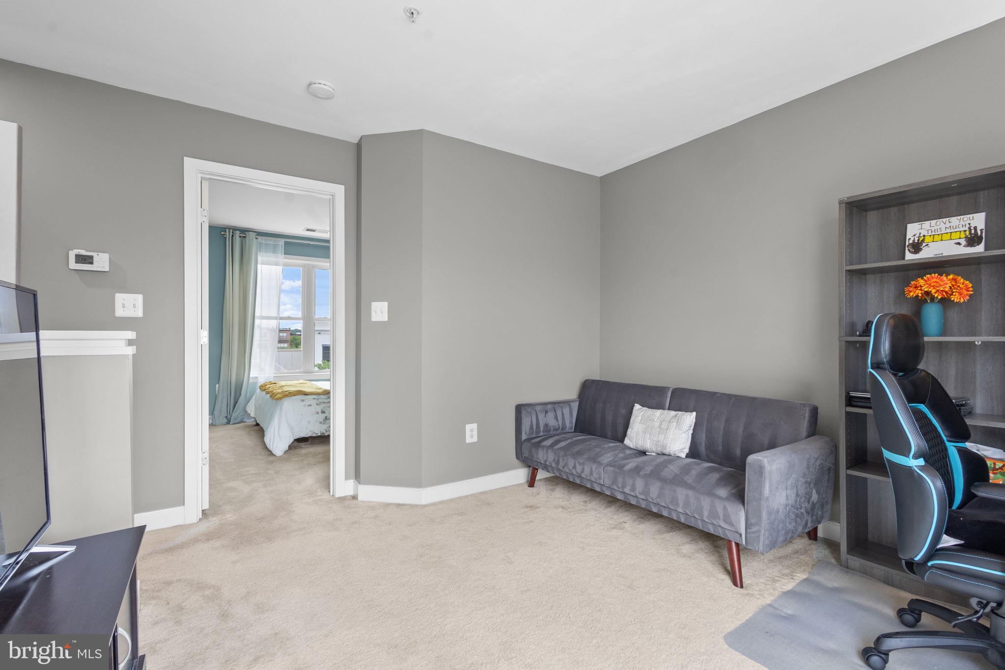 ARTS DISTRICT HYATTSVILLE - Residential