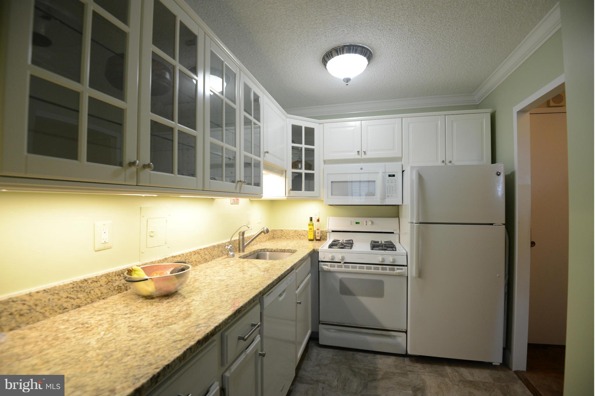 Super value!!!Exec 1BR/1BA w updated kitchen w granite, under cabinet lighting and reverse osmosis water filter system. New Ba w shower, Gar parking. Vacant. Resort-type amenities: indoor/outdoor pools, gym w/ sauna, tennis cts, cafe, market, cleaners, hair salon, 24-hr concierge, Ride-on bus..Fees incl taxes, utilities, cable TV. Must use Prom contract. .Appt only!