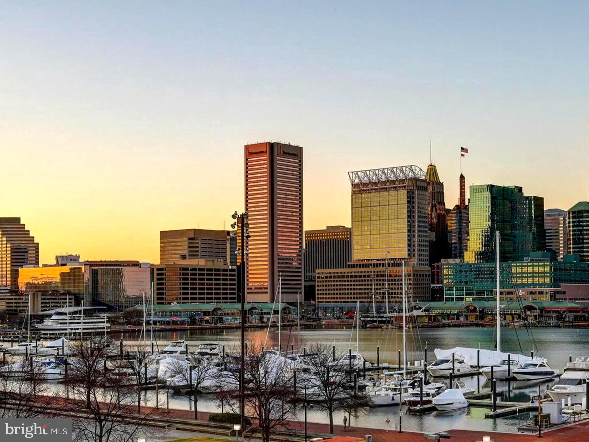 THE RITZ-CARLTON RESIDENCES - Residential