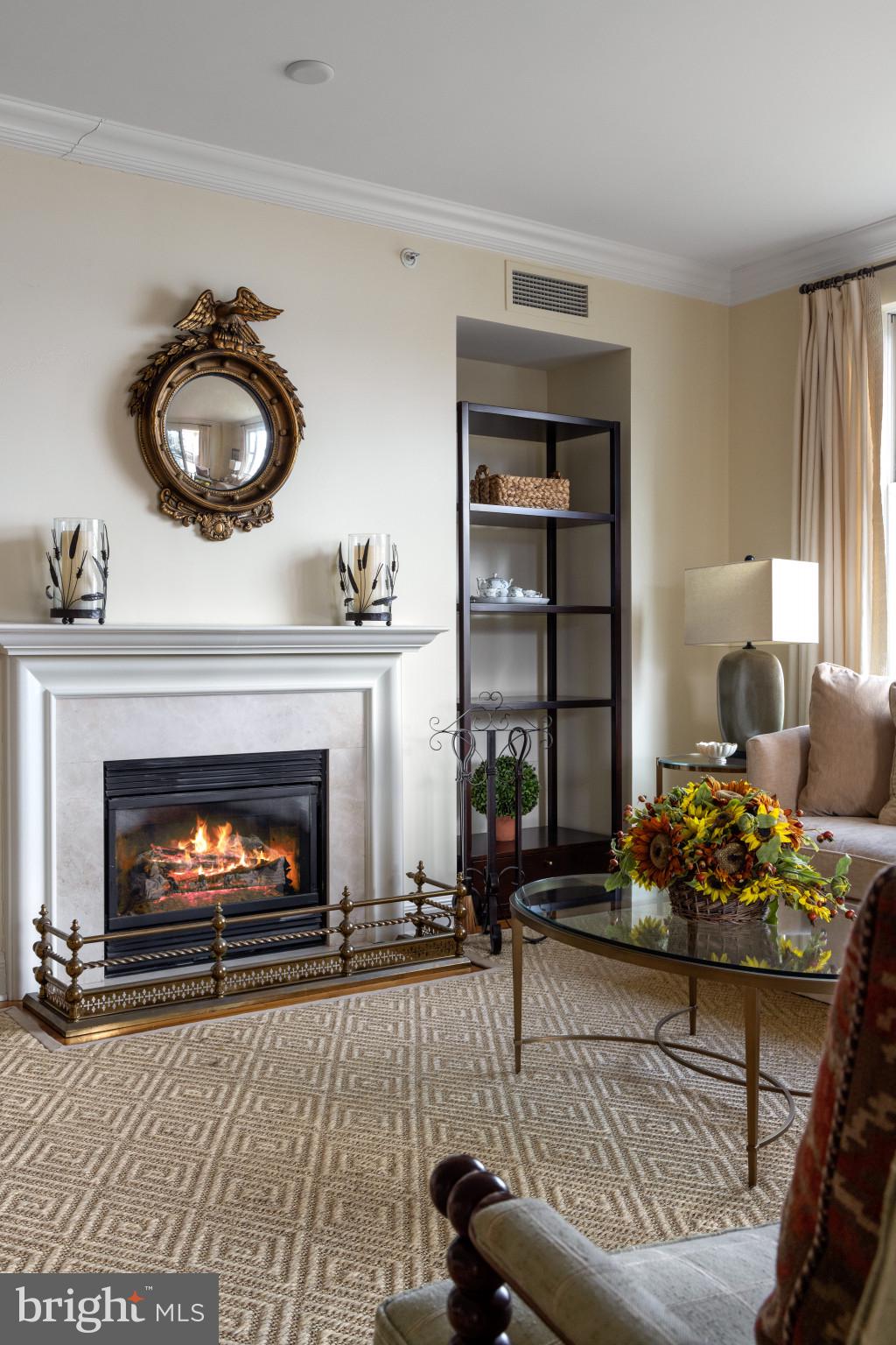 THE RITZ-CARLTON RESIDENCES - Residential