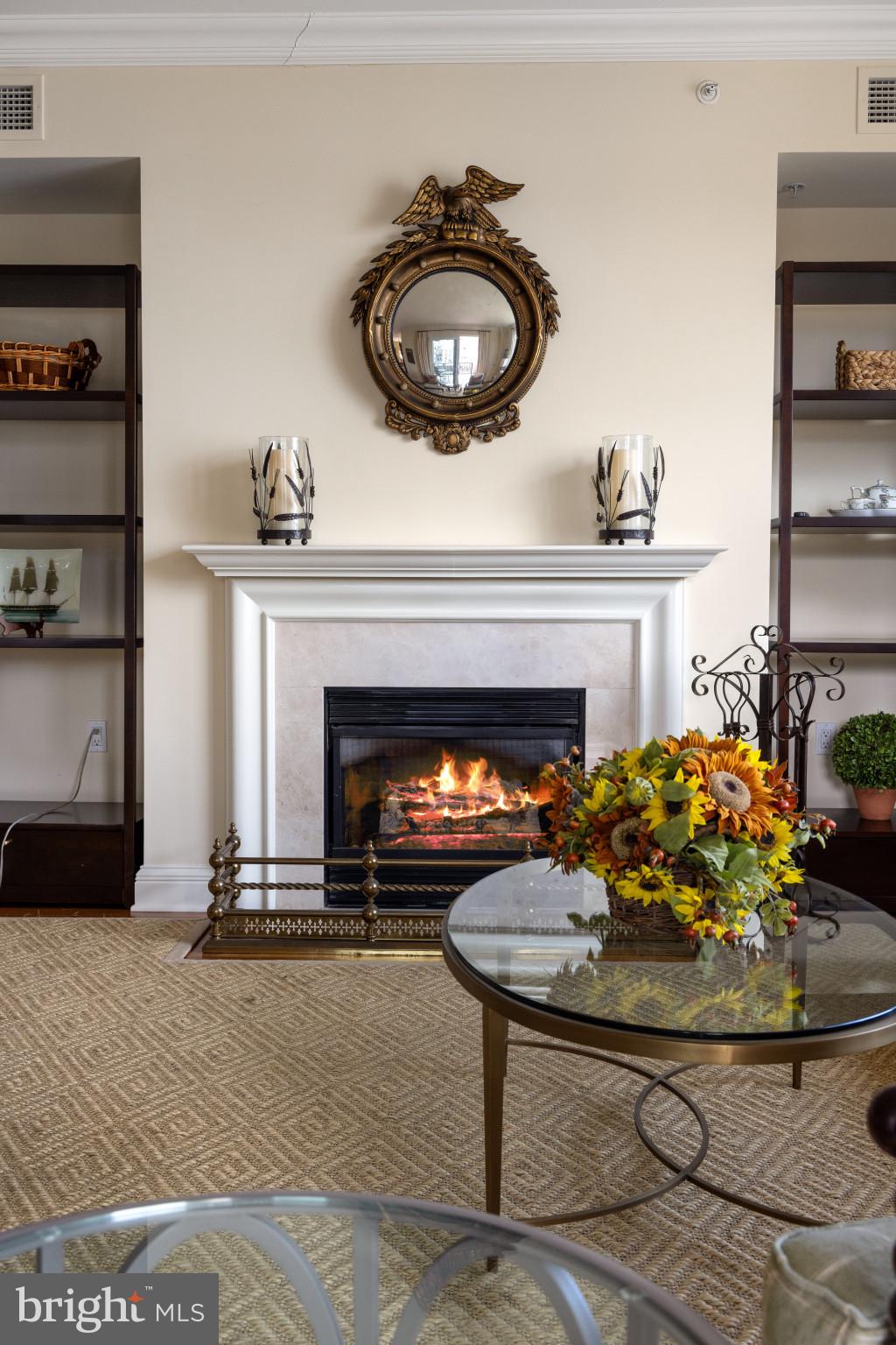 THE RITZ-CARLTON RESIDENCES - Residential