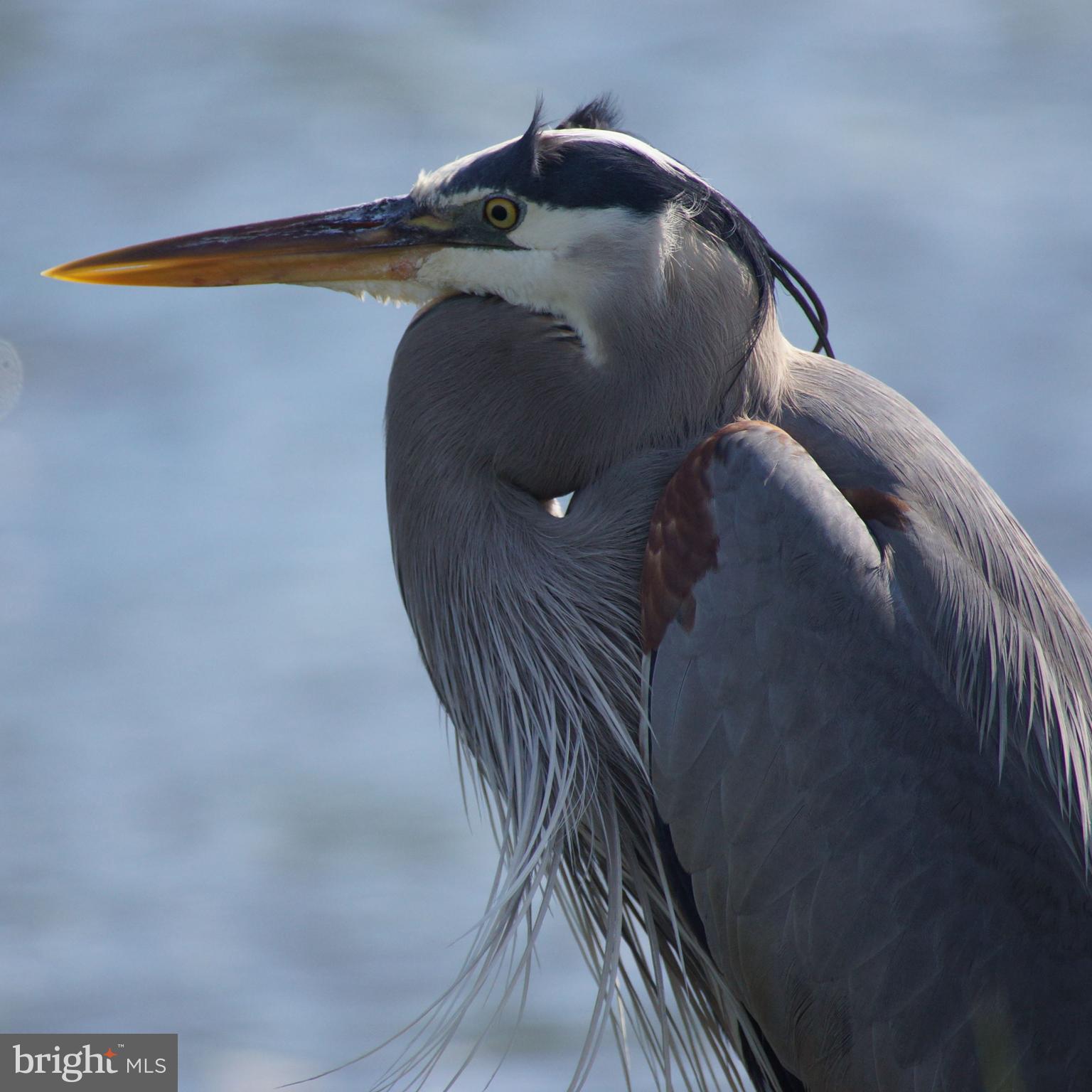 RICHFIELD STATION VILLAGE - Residential