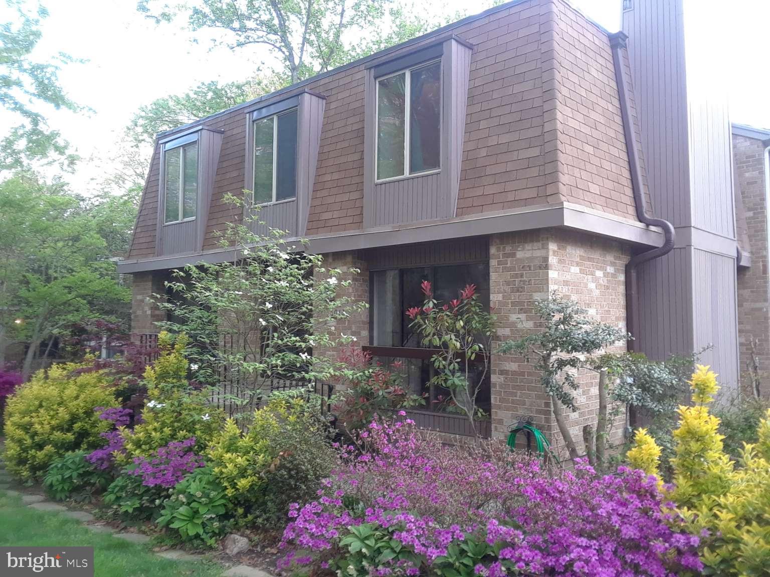 6010 TIMBER HOLLOW LANE