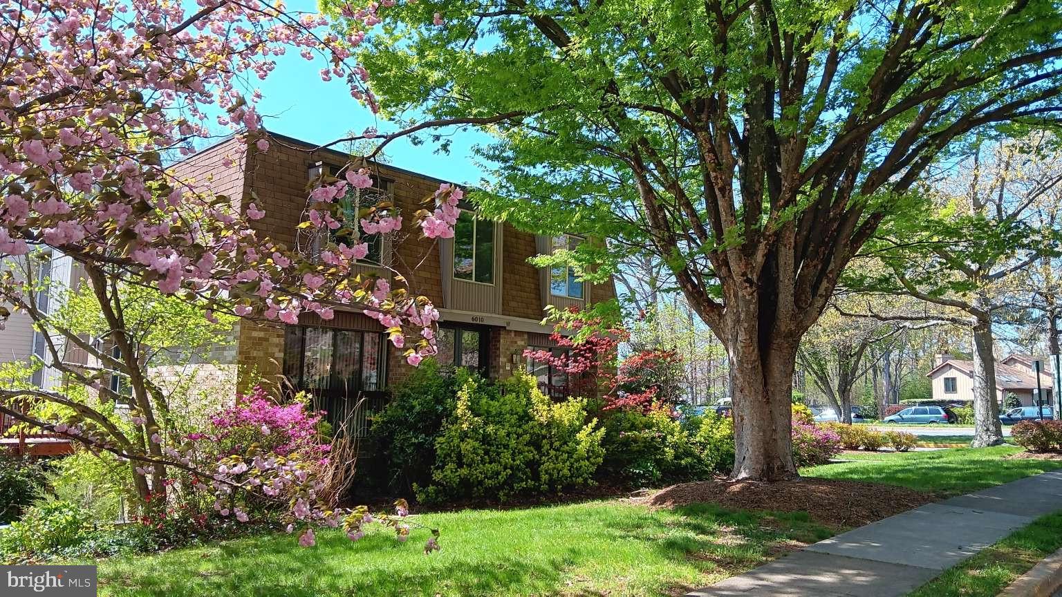 6010 TIMBER HOLLOW LANE