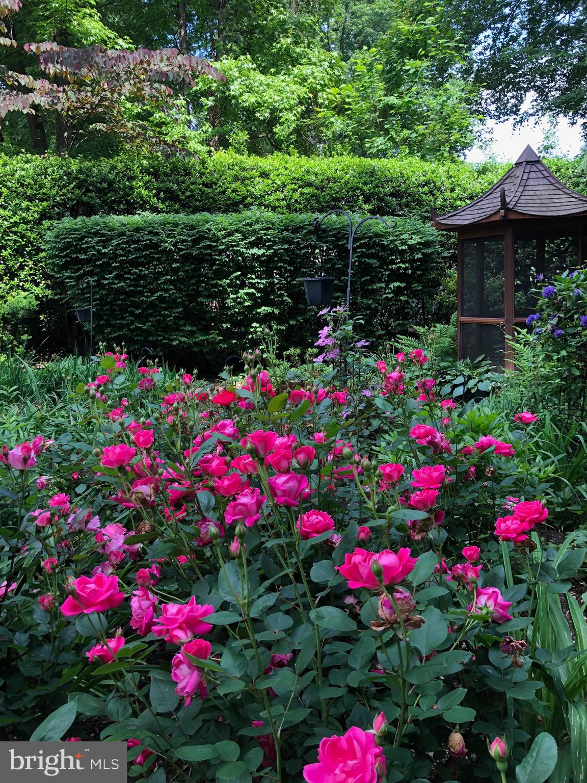 BRADLEY HILLS GROVE - Residential