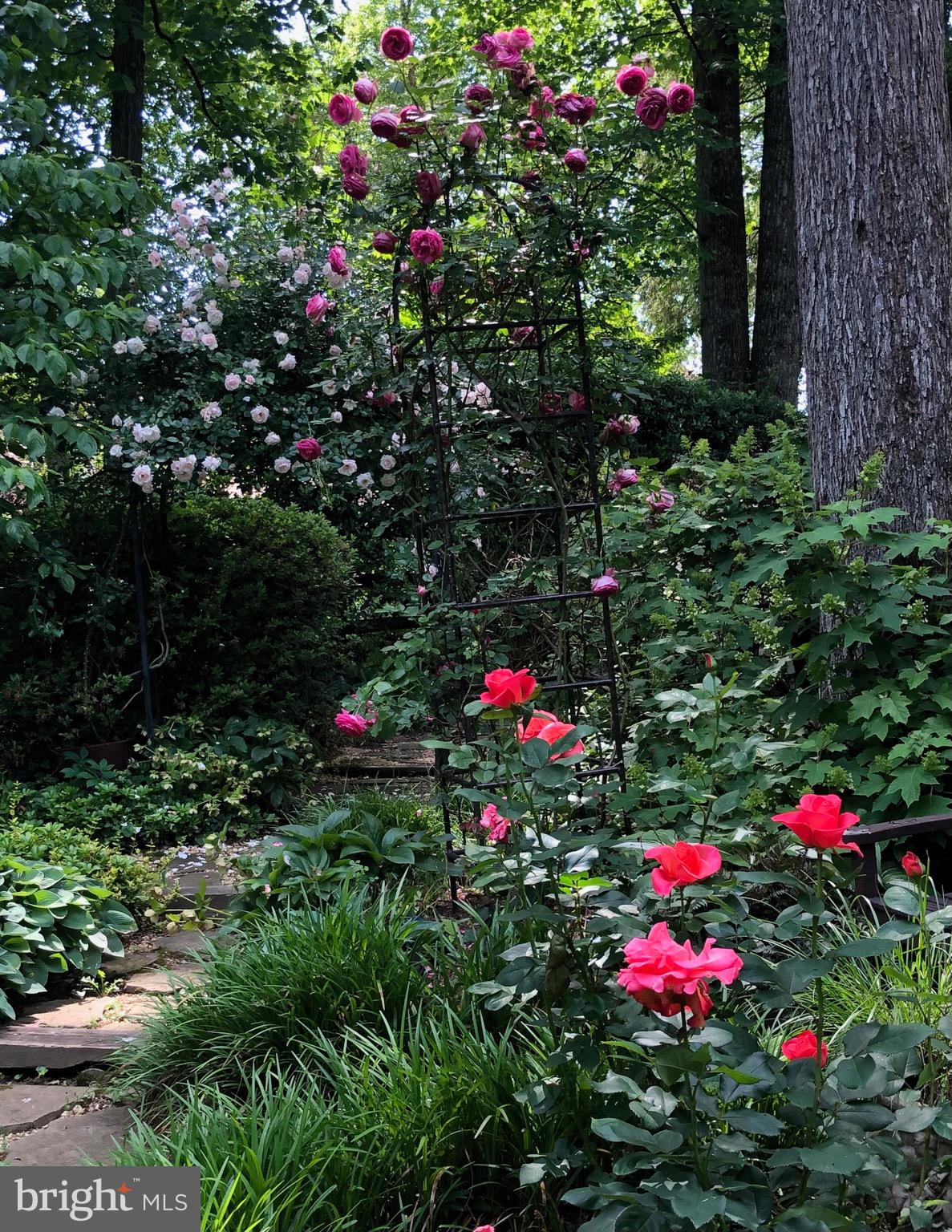 BRADLEY HILLS GROVE - Residential