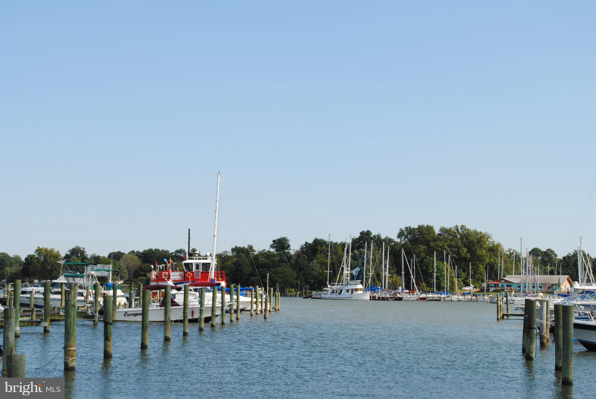 COBB ISLAND - Residential