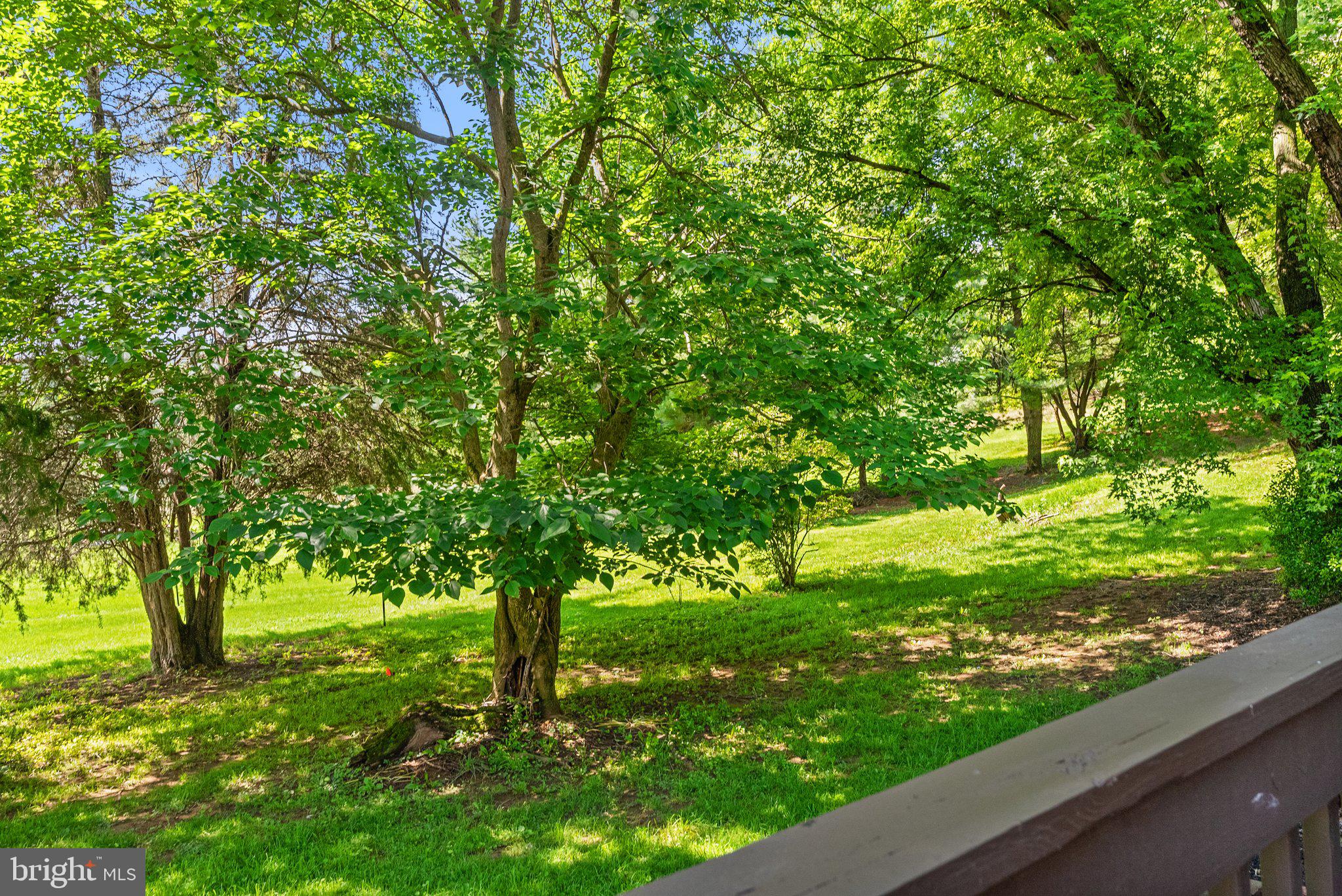 POTOMAC TERRACE - Residential