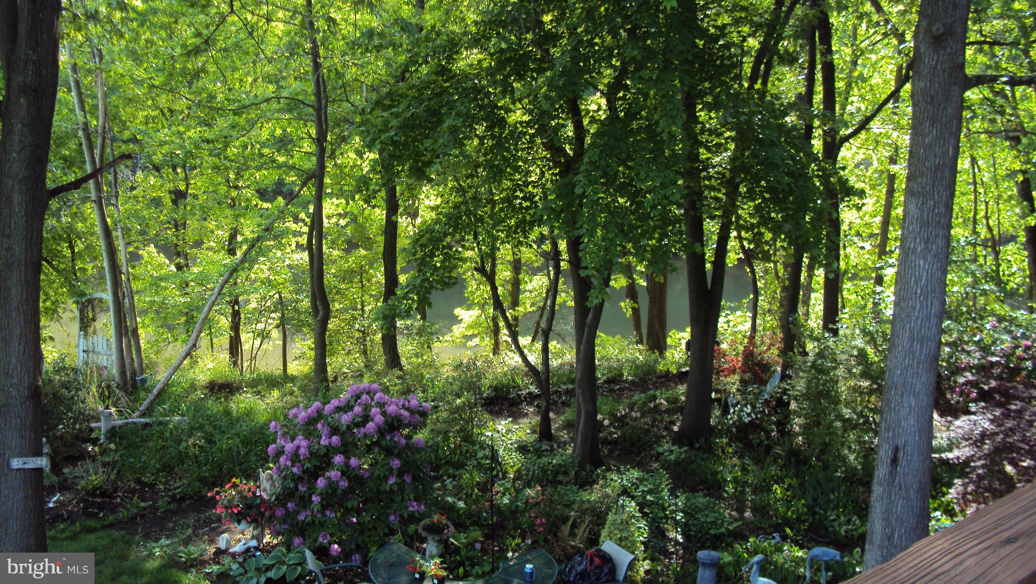 CHESTNUT HILL COVE - Residential Lease