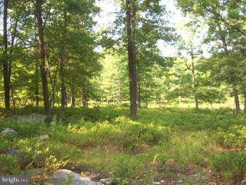 CACAPON HIGHLANDS - Residential