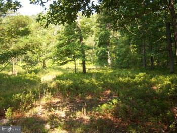 CACAPON HIGHLANDS - Residential