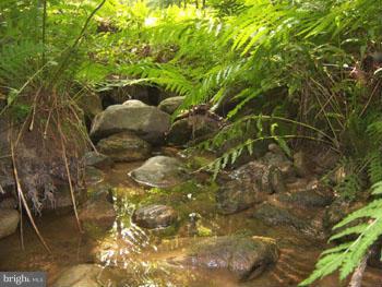 CACAPON HIGHLANDS - Residential