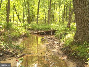 CACAPON HIGHLANDS - Residential