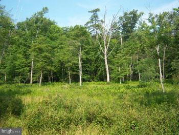 CACAPON HIGHLANDS - Residential