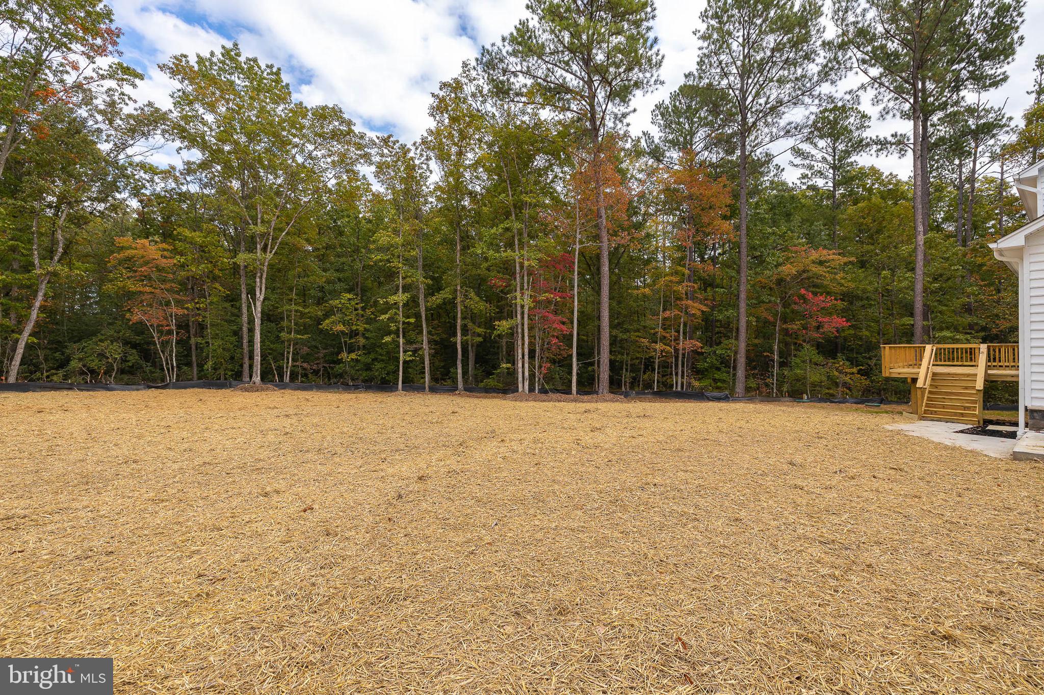 THE ESTATES AT LIGHT LANE - Residential