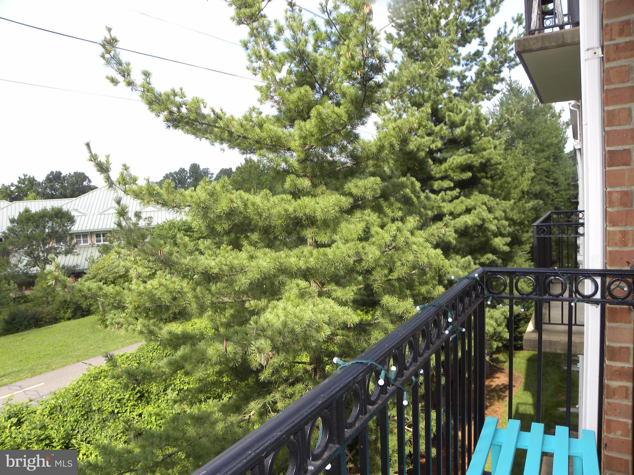 FALLS STATION - Residential Lease