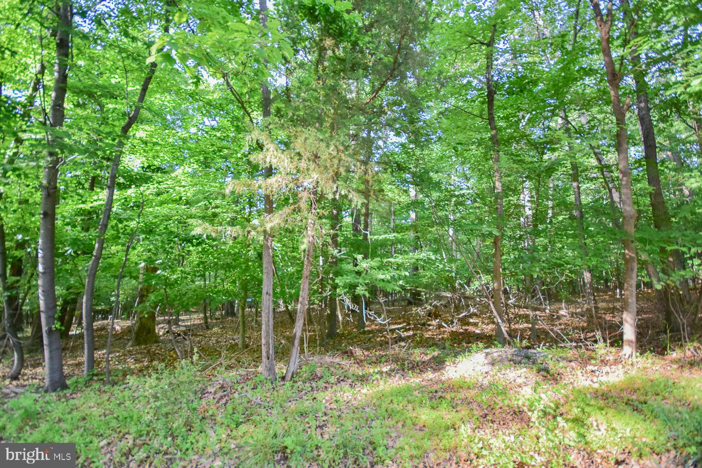 BLUE RIDGE ACRES - Residential